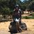 Julie Willardsen's profile image