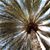 Amy Trebitowski Meyer's profile image