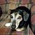 Mary Evelyn Z Hopper's profile image