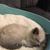 Cynthia Jones's profile image