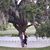 Kathryn Grace Siemer's profile image