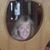Cynthia Morrell Fox's profile image