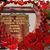 Camino Neocatecuna's profile image