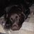Heather Hood Glanzer's profile image