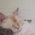 Larrie Boring's profile image