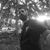 Xaris Saxonis's profile image