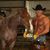 Charles Bray's profile image
