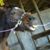 Tamara Lipanovich's profile image