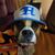 Sue Bremehr's profile image