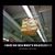 Craig Honadel's profile image