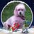 Sharon Chittenden's profile image