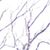 Lafaun Anderson's profile image