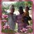 Christi Castro's profile image