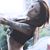 Nava Alice's profile image