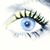 Sharon Larrimore's profile image