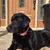 Joyce Niper Plummer's profile image