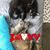 Judy Hackett Duschen's profile image