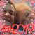 Ron Bosek's profile image