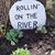 Roxanne Knock-Stone's profile image