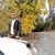 Ebrahim Soleman's profile image
