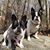 Melissa Piette Rivet's profile image