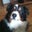 Chris Newton's profile image