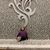 Whitney Lauren Waller's profile image