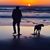 Larry Toering's profile image
