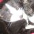 Deb Halberg's profile image