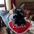 Karen Wright's profile image