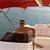 Rod Cou's profile image