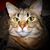 David Linthicum's profile image