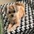 Janice M Seiffert's profile image