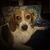 Sarah Marie DePompei's profile image