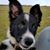 DB Brisbin's profile image