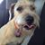 Cheryl Miller's profile image