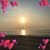 Che Gangemi-Smarth's profile image
