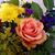 C Lorena Moreno's profile image
