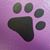 Staci Nichols's profile image