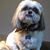 Lynda Ingraham's profile image