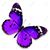 Rebecca James Davis's profile image