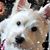 Billie Rae Estes Christy's profile image
