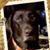 Sandy Scott's profile image
