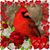 Barbara Kay Anderson Capps's profile image