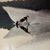 Rick Moewe's profile image