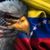 Damary Borrego's profile image