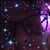 Lisa Jerue's profile image