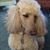 Patricia Woodward's profile image