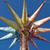 Anne Gerzin's profile image