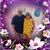Sandy Hernandez's profile image